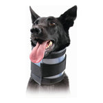 Colarinho cervical para cães KVP Preto (20-64 cm)