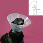 Colar Isabelino para Cães KVP Betsy Transparente (63-78 cm)