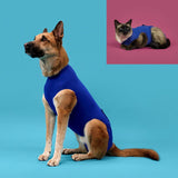 Camisola de recuperação para animais de estimação KVP Azul 25-29 cm