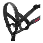 Coleira de Treino para Cães Company of Animals Halti Preto Açaime (46-62 cm)