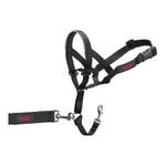 Coleira de Treino para Cães Company of Animals Halti Preto Açaime (46-62 cm)