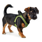 Arnês para Cães Hunter Hilo-Comfort Lima Tamanho XS (35-37 cm)