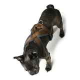 Arnês para Cães Hunter London Comfort 48-56 cm Castanho Tamanho S/M