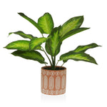 Planta Decorativa Versa 15 x 48 x 15 cm Cimento Plástico