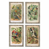 Pintura DKD Home Decor 45 x 2 x 65 cm Pássaros Cottage (4 Peças)