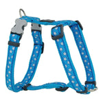 Arnês para Cães Red Dingo Style Azul Estrela 25-39 cm