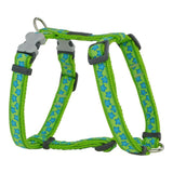 Arnês para Cães Red Dingo Style Turquesa Estrela Verde 46-76 cm