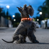 Coleira LED para Animais de Estimação Petlux InnovaGoods