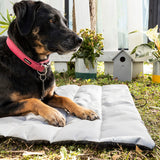 Cama Portátil Impermeável para Animais de Estimação Huismat InnovaGoods