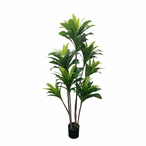 Planta Decorativa DKD Home Decor 90 x 90 x 200 cm Dracaena Verde Polipropileno