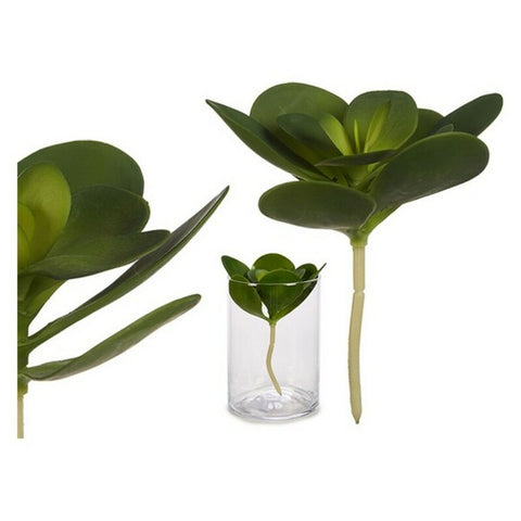 Planta Decorativa Verde Plástico (16 x 25 x 16	 cm) (18 x 23 x 18	 cm)